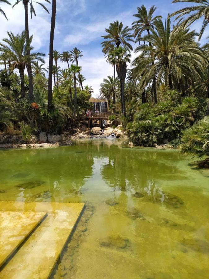 San Vicente RaspeigMonte Santa Barbara Justo En Frente De Usted En Un Dormitorio Privado Y Acogedorアパートメント エクステリア 写真