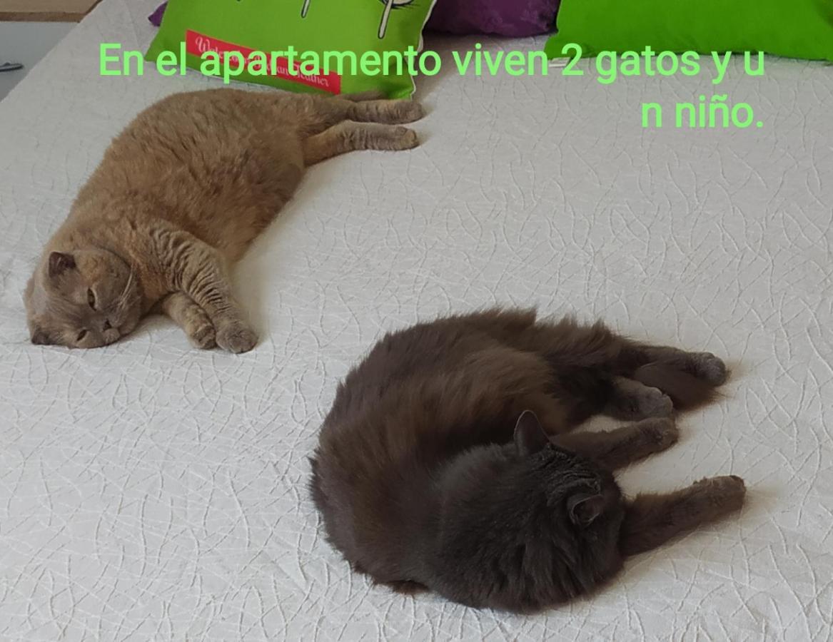 San Vicente RaspeigMonte Santa Barbara Justo En Frente De Usted En Un Dormitorio Privado Y Acogedorアパートメント エクステリア 写真